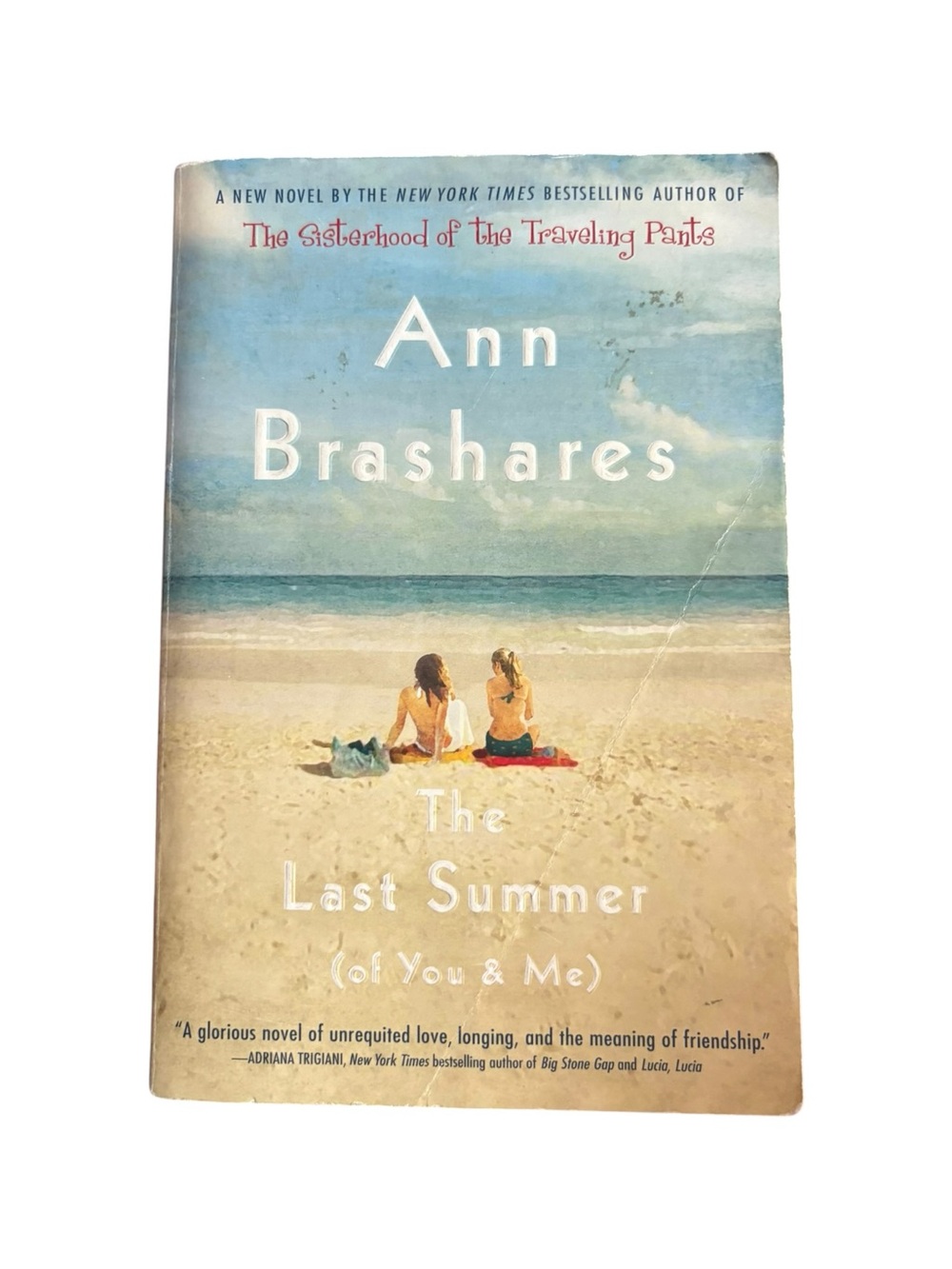 3/$20 The Last Summer (of You & Me) - Beach Scene Paperback, Blue and Tan